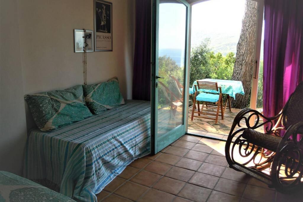 Mini Suite Ulivo Marciana Marina  Eksteriør billede